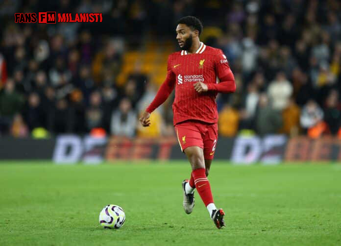 Joe Gomez